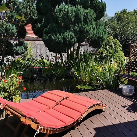 Ferienhaus Mit Mediterraner Terrasse Müllrose Zewnętrze zdjęcie